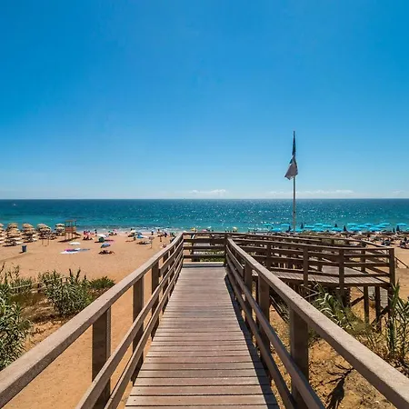 Window Paradise By Alzira