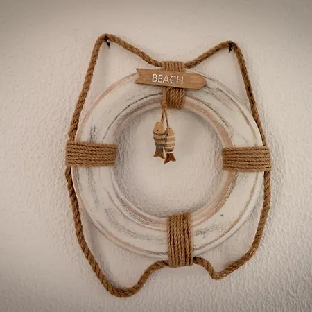 Apartment Window Paradise By Alzira