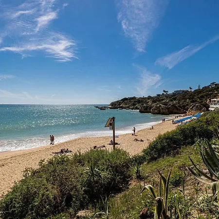 Window Paradise By Alzira * Albufeira