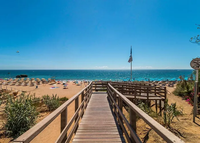 Window Paradise By Alzira