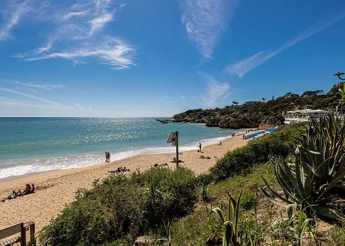 Window Paradise By Alzira * Albufeira