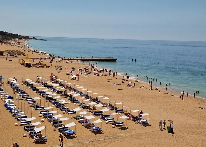 Window Paradise By Alzira Apartman *